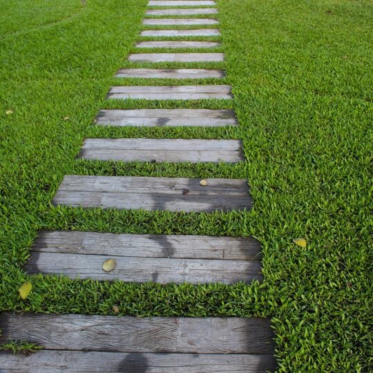 garden-path-1979619_1920